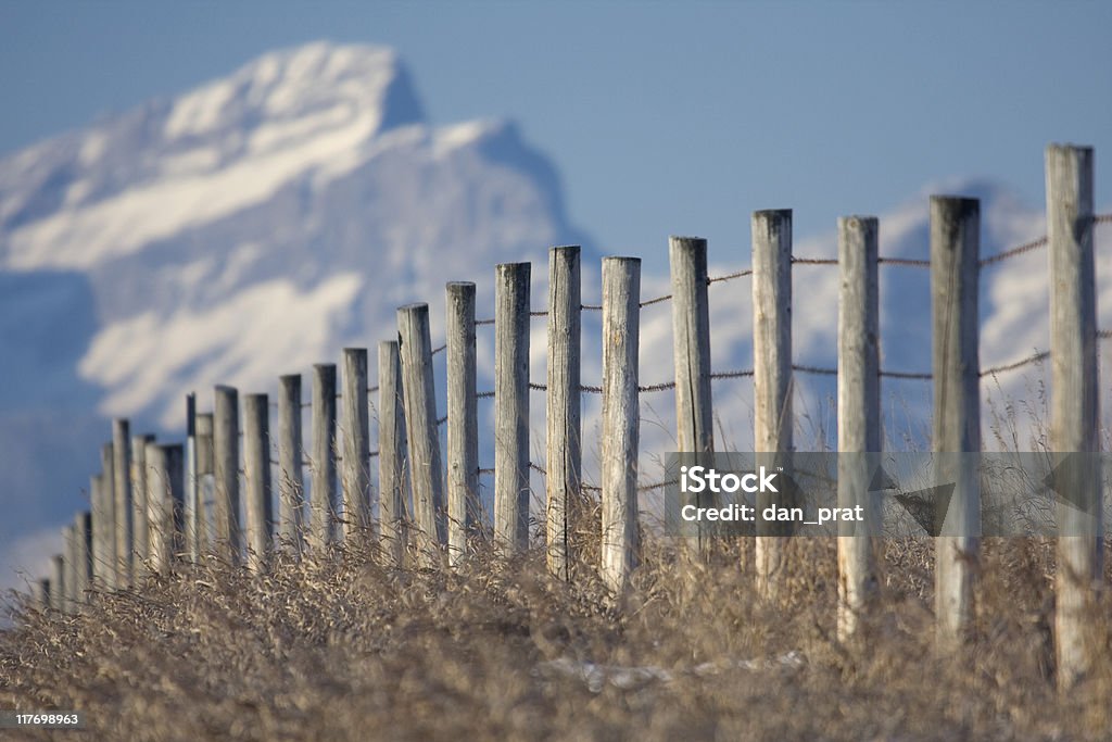 Zaun zu den Rocky Mountains - Lizenzfrei Cochrane - Alberta Stock-Foto