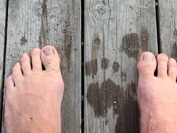 pieds après le bain - deck chair photos et images de collection