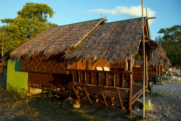 istock landscape of single house 1176997752