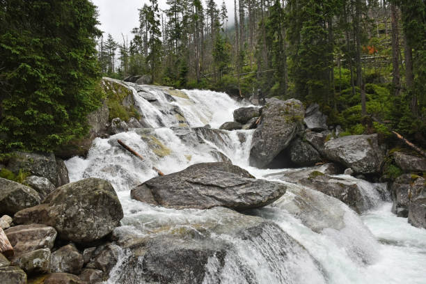 istock Waterfall and river in the tatra mountain, poland 1176998223