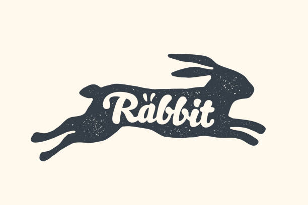 illustrazioni stock, clip art, cartoni animati e icone di tendenza di coniglio, scritte. progettazione di animali da fattoria - coniglio - wild rabbit