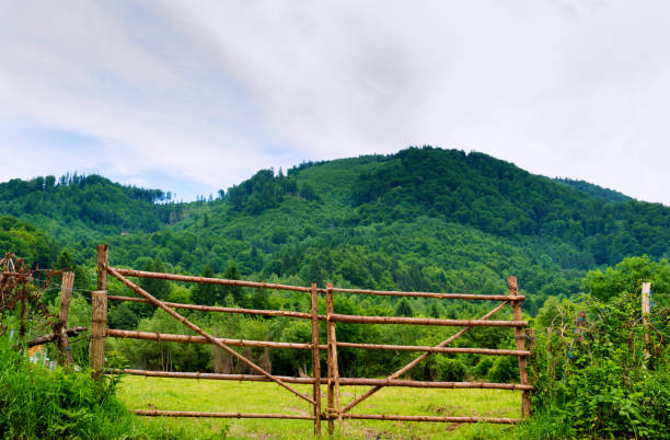 istock rustic wood log branch gate and green forest on hill in the background 1176999720