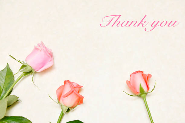 istock Celebration concept. Three rose flowers. 1176999757