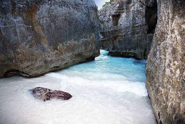 tropical sea and beach