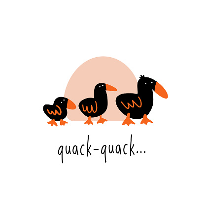 Funny vector illustration of three walking ducks. Phrase quack Quack