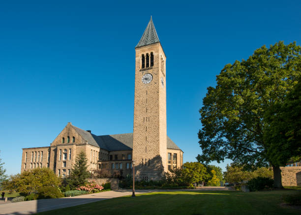 la biblioteca uris e la mcgraw tower della cornell university - mcgraw foto e immagini stock