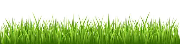 Vector illustration of Grass Vector Seamless