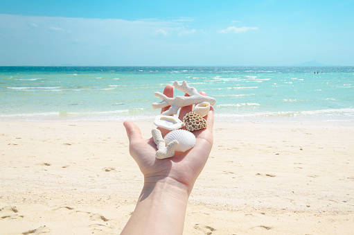 hand with white corals and shells against thai beach and blu ocean