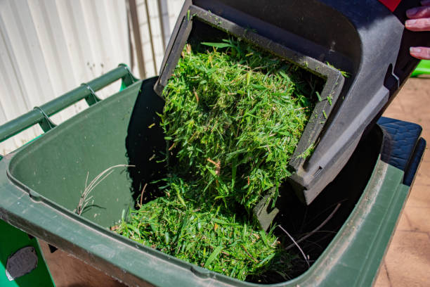 zielony pojemnik na śmieci wypełniony skoszoną trawą. kosz kosiarki opróżniający do kosza. wiosna posprzątać w ogrodzie. recykling śmieci dla lepszego środowiska. - garden waste zdjęcia i obrazy z banku zdjęć