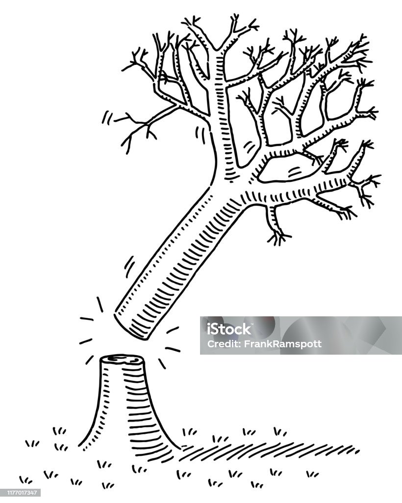Remove Tree Drawing Cutting Down A Tree Drawing Stock Illustration - Download Image Now ...
