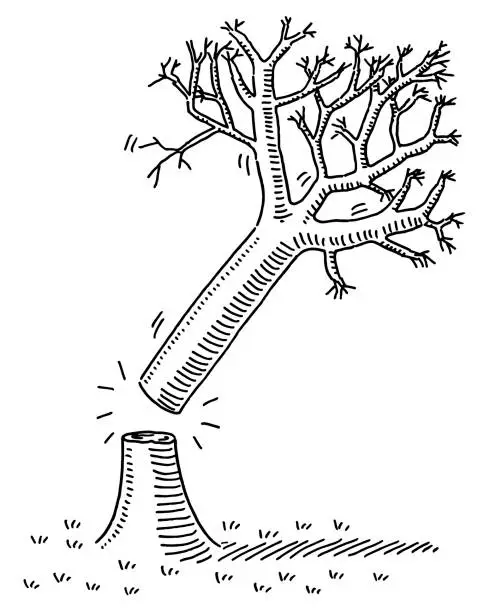 Vector illustration of Cutting Down A Tree Drawing