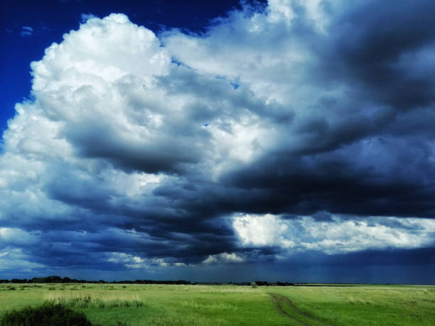 istock stormy white gray clouds in a blue sky in a green field 1177018717