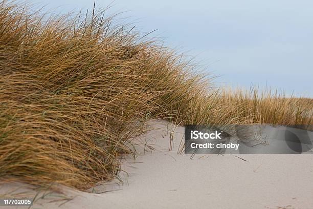 North Sea Coast Sylt Germany Stock Photo - Download Image Now - American Beachgrass, Beach, Beauty In Nature