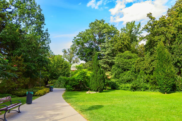 istock Margaret Park in Budapest 1177027444