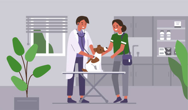 의사 수의사 - pets dog office vet stock illustrations