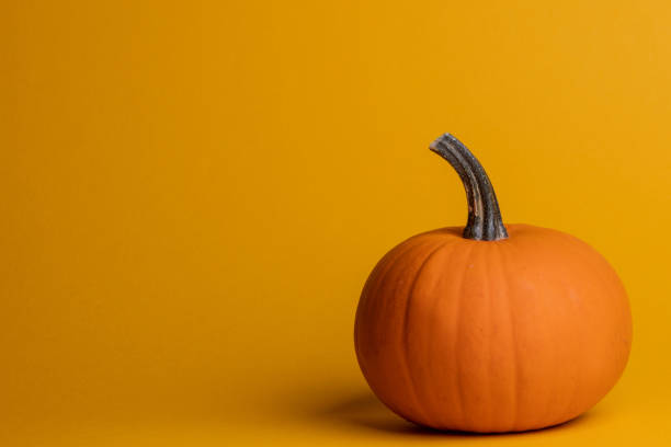 istock Halloween pumpkin on orange 1177028815
