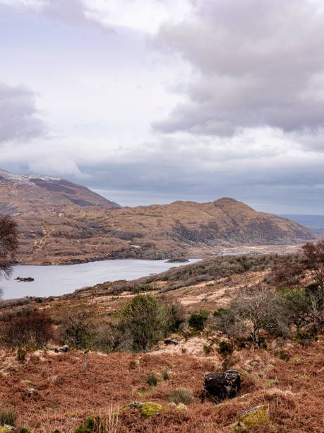 istock Grassy fields in Kerry, Ireland overlooking a lake 1177031938