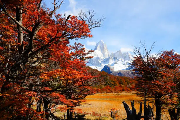 Photo of Autumn colors of vegetation around the Laguna Capri with Mount Fitzroy in the background, National Park of Los Glaciares, Argentina