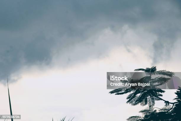 뇌우 0명에 대한 스톡 사진 및 기타 이미지 - 0명, 구름 풍경, 나무