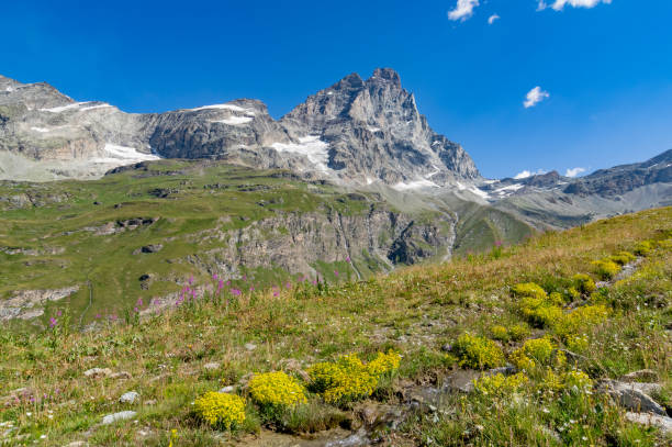 istock Monte Cervino seen from Breuil-Cervinia trail 1177039095