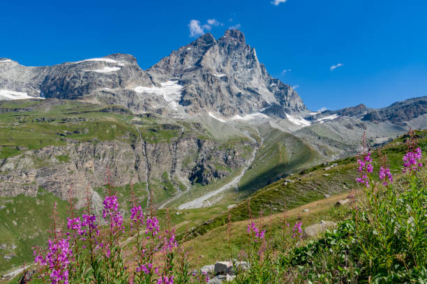 istock Monte Cervino seen from Breuil-Cervinia trail 1177039138