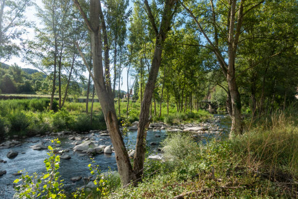 istock The ter route through the interior of Girona 1177039618
