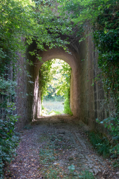 istock The ter route through the interior of Girona 1177041006