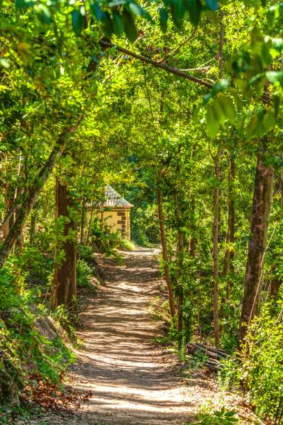 istock A small remote hermitage in a portuguese forest 1177042793