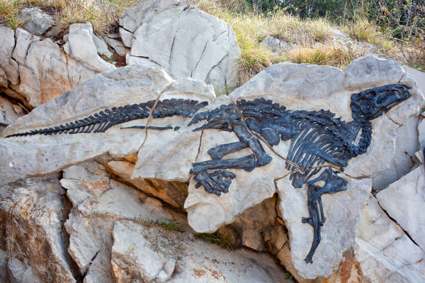 istock Dinosaur Antonio, Tethyshadros insularis 1177044578