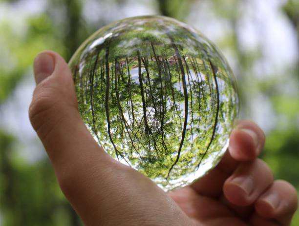 istock Glass crystal ball in hand 1177045321