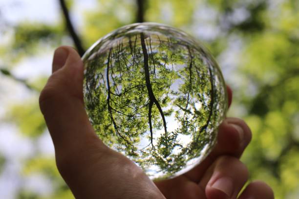 istock Glass crystal ball in hand 1177045330