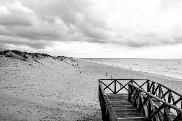 istock Wooden beach terrace 1177048175