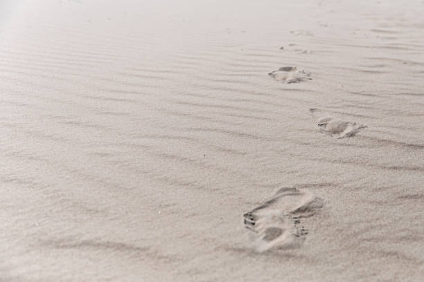 Sandy beach Norderney with footprints stock photo