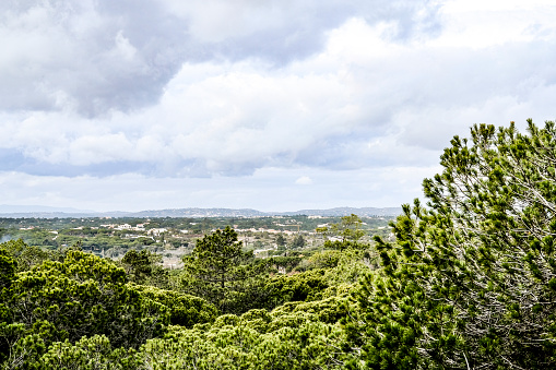 A panoramic view over the trees of a landscape of Almancial area in Algarve, Portugal.