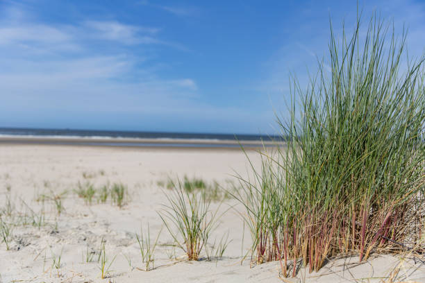 Sandy beach Norderney North Sea stock photo