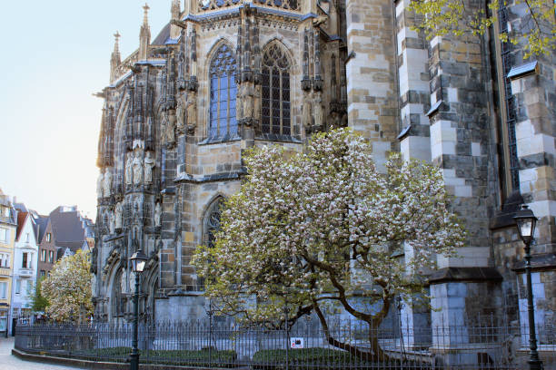 istock Trees blossom in front of the cathedral 1177050531