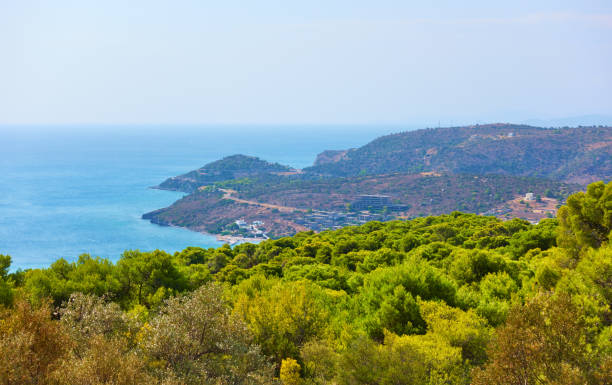 istock Seashore of Aegina Island 1177051536