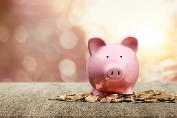 Piggy bank. Hand Putting a Coin in Piggy Bank piggy bank photos stock pictures, royalty-free photos & images