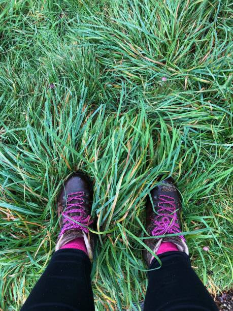 Foreshortened view looking down black-clad legs and feet wearing brown leather walking boots with bright pink laces. The person is standing in bright green grass just after a rain storm.
