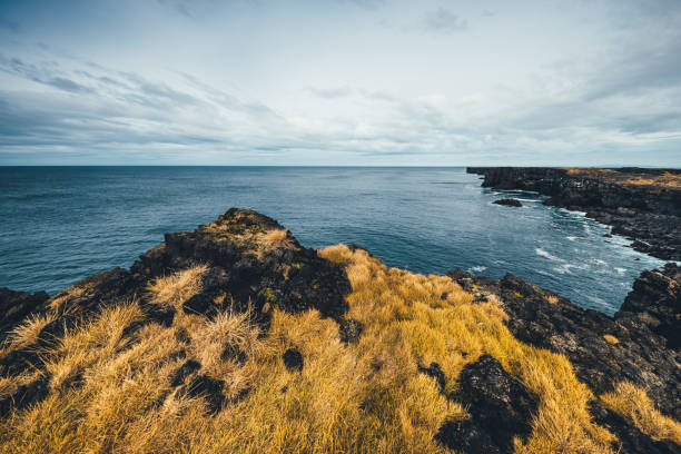 아이슬란드의 웨스트 코스트 - cliff at the edge of grass sea 뉴스 사진 이미지