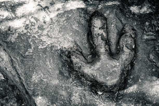 Fossilized dinosaur footprints preserved in exposed rock beside low desert vegetation near Moab, Utah, offering a glimpse into prehistoric life in the American Southwest.