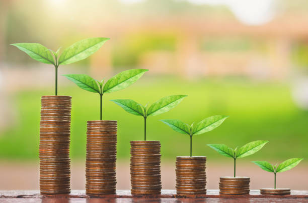 istock financial money saving concept. green plant growing on coin stack. 1177067307