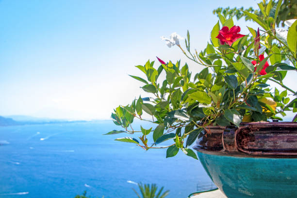 vietri sur la mer - ceramics italian culture sorrento pottery photos et images de collection