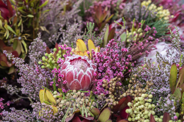istock Background with exotic dried flowers 1177069216