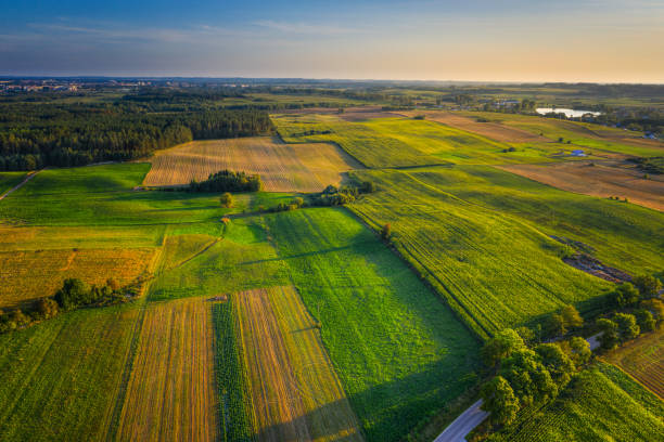 colorful fields and meadows 2 - poland rural scene scenics pasture imagens e fotografias de stock