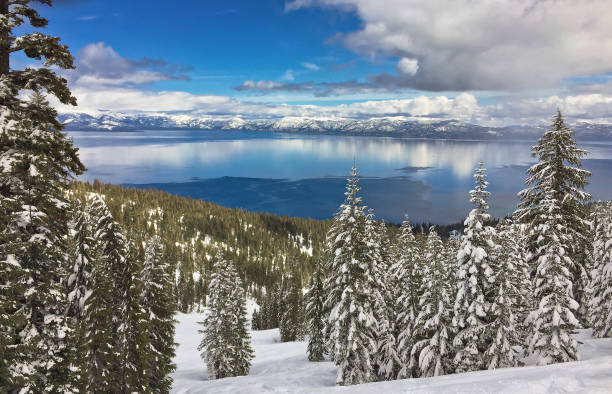 istock Lake Tahoe, California 1177071469