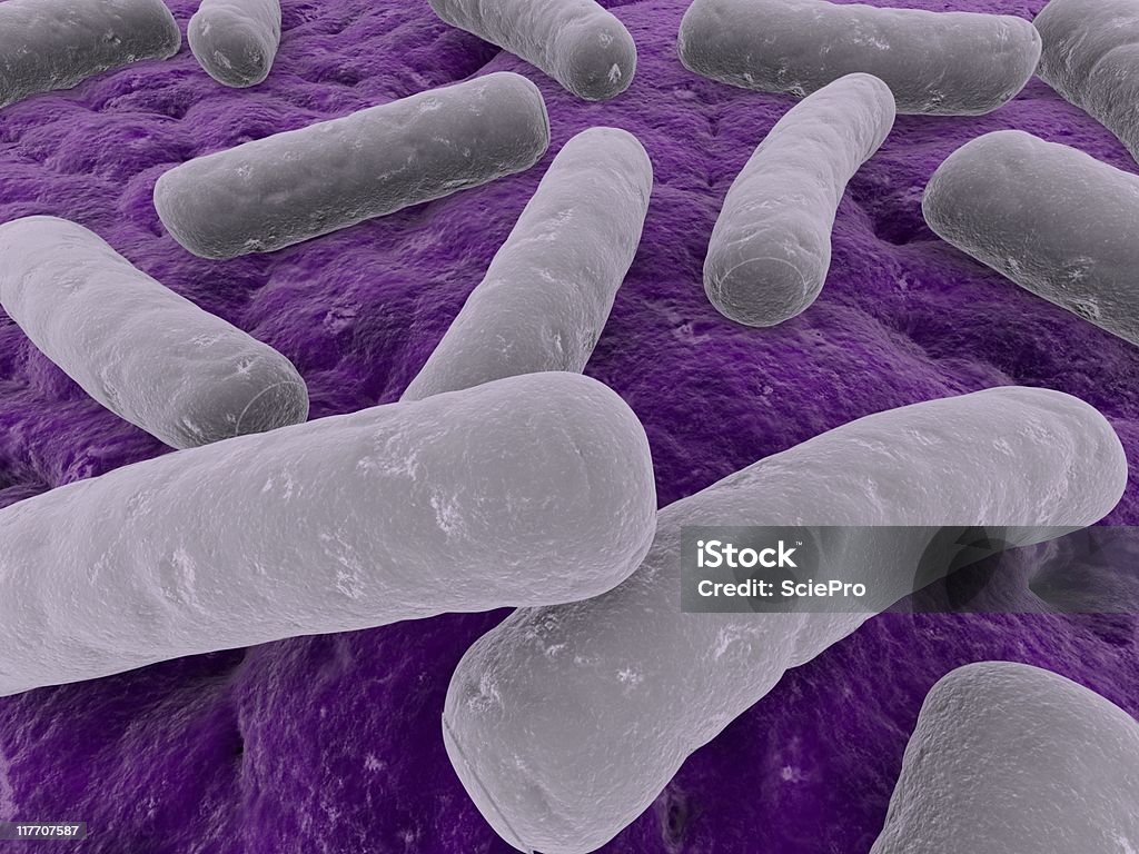 Ilustración de bacterias - Foto de stock de Asistencia sanitaria y medicina libre de derechos