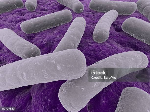 Ilustración De Bacterias Foto de stock y más banco de imágenes de Asistencia sanitaria y medicina - Asistencia sanitaria y medicina, Bacilo subtilis, Bacteria