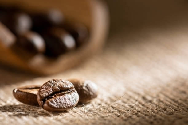 istock Coffee beans spilling from a wooden scoop on hessian 1177076214