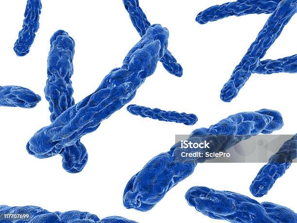 Bacteria Illustration Stock Photo - Download Image Now - Bacillus Subtilis, Bacterium, Biological Cell